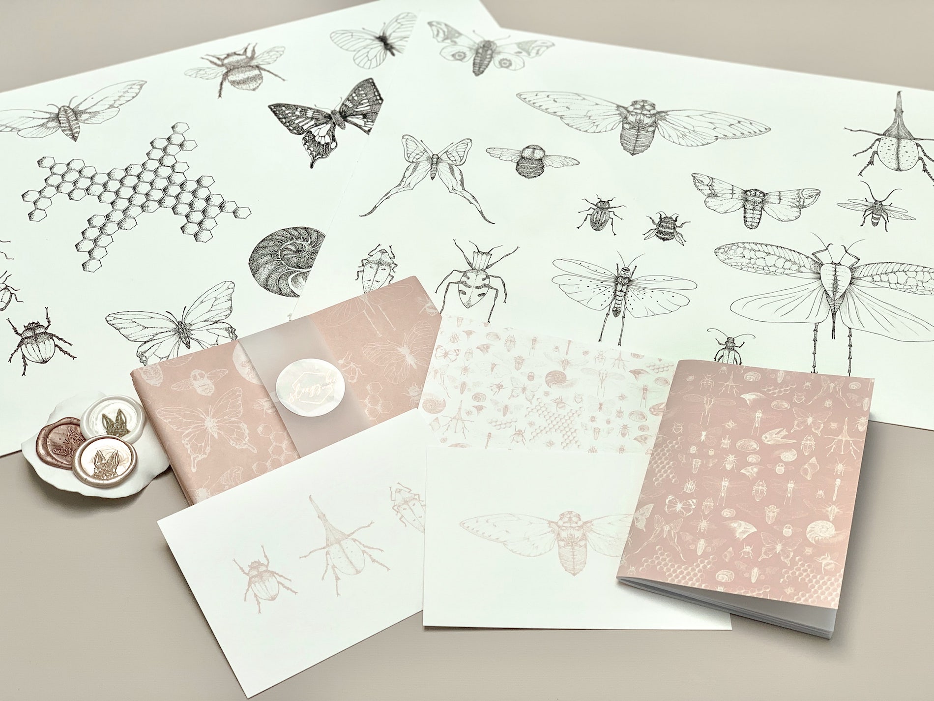 Illustrations for the Darwin custom tissue paper design