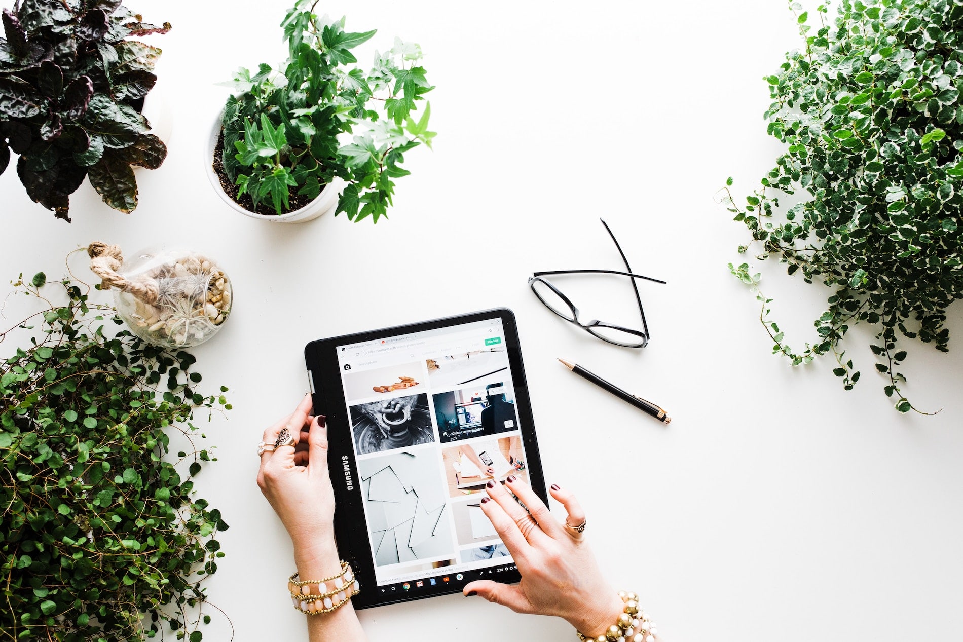 Person on ipad surrounded by plants